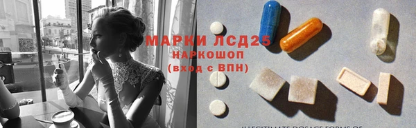 прущие грибы Касимов