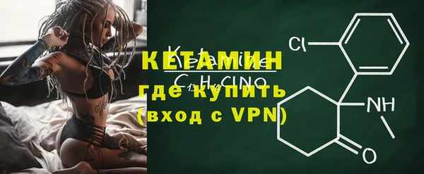прущие грибы Касимов