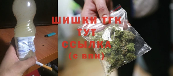 индика Каменка