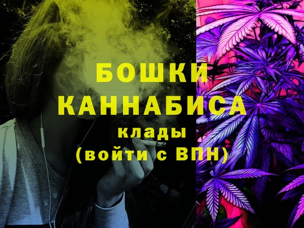 прущие грибы Касимов