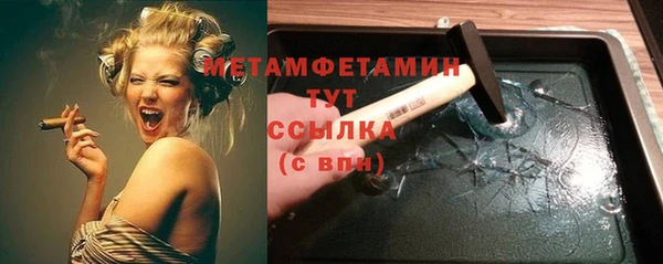 прущие грибы Касимов