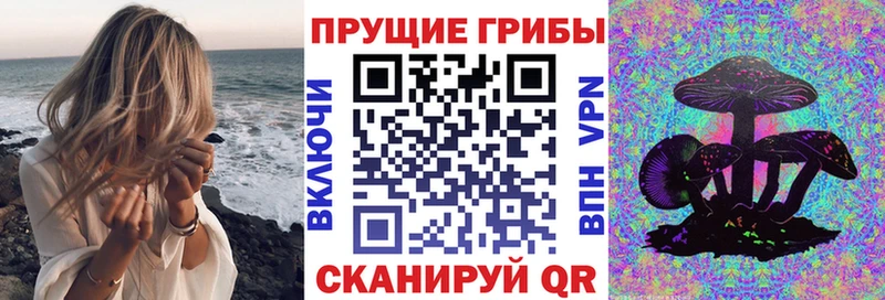 Галлюциногенные грибы прущие грибы  Лабинск 